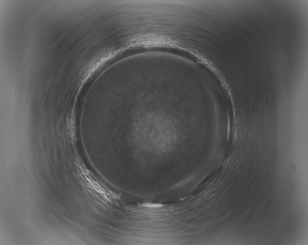 X0000086050391200703231313
