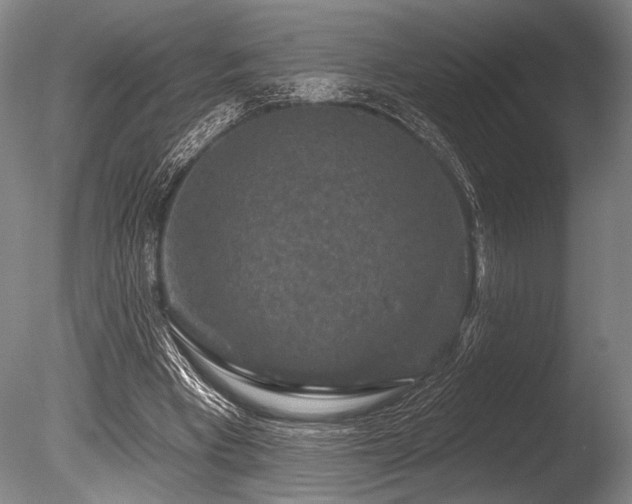 X0000086050393200703231312