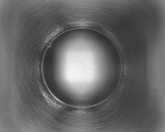 X0000086050394200703231312