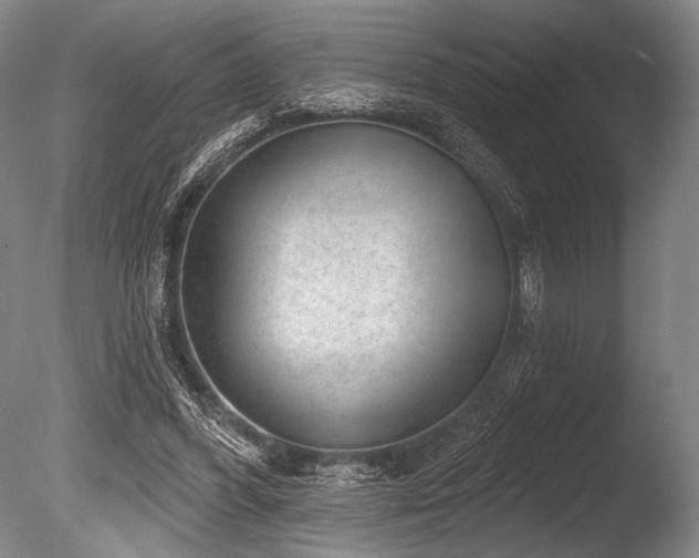 X0000086050396200703231312