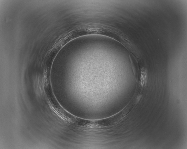 X0000086050408200703231312