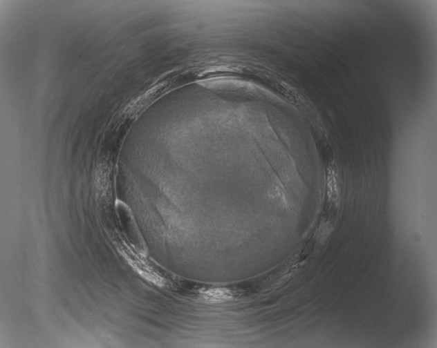 X0000086050409200703231312