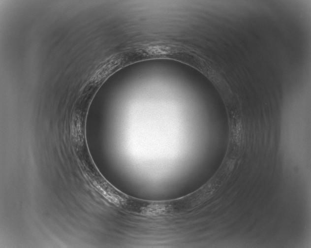 X0000086050418200703231312
