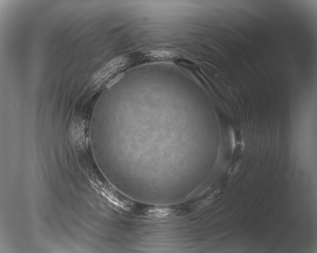 X0000086050428200703231312