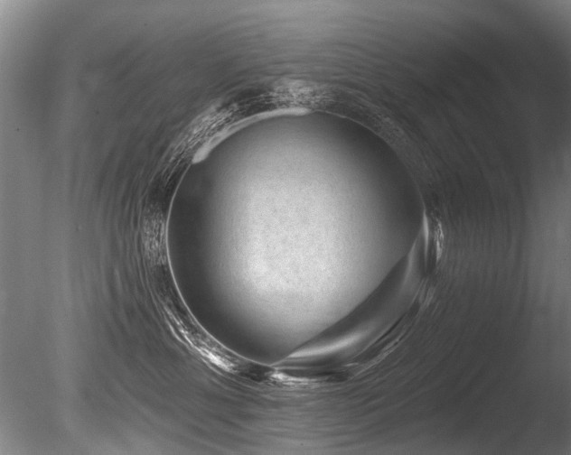 X0000086050429200703231312