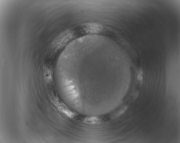 X0000086050431200703231312