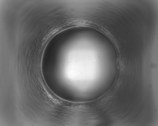 X0000086050433200703231311