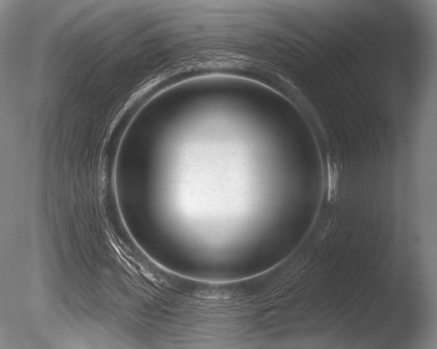 X0000086050435200703231311