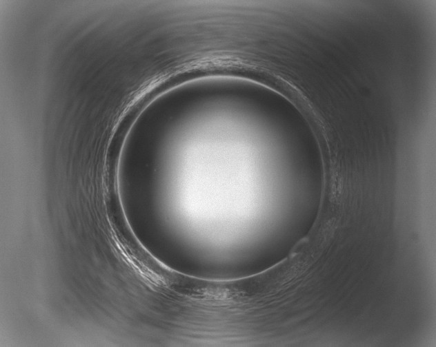 X0000086050439200703231311