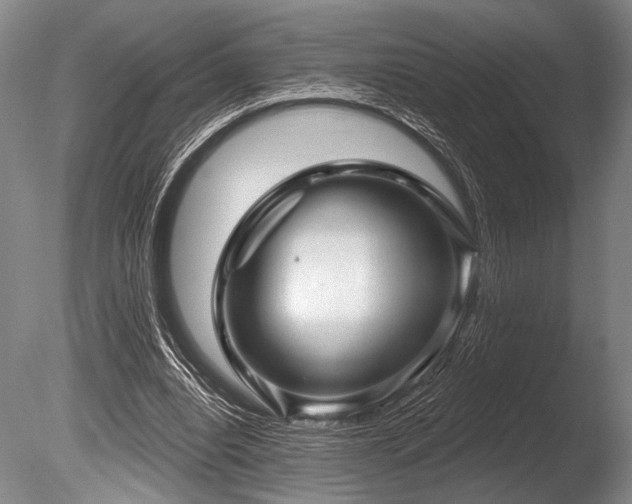 X0000086050440200703231311