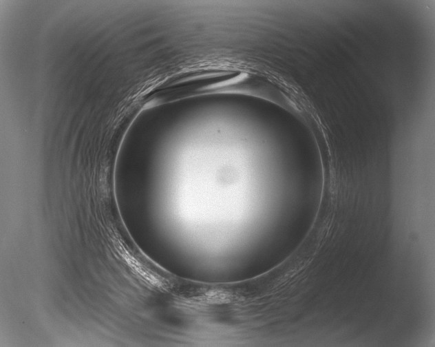 X0000086050441200703231311
