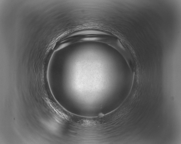 X0000086050442200703231311