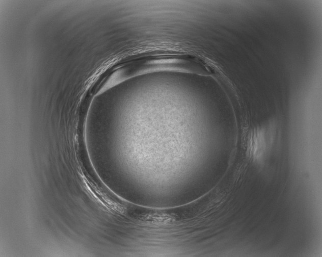 X0000086050443200703231311