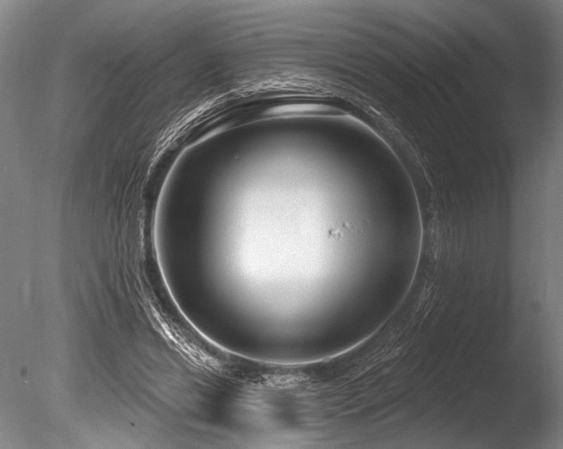 X0000086050446200703231311