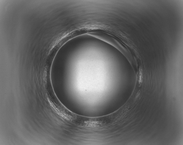 X0000086050448200703231311