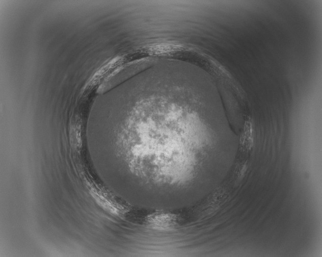 X0000086050452200703231311