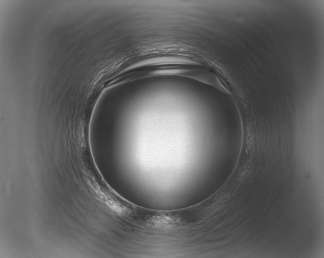 X0000086050453200703231311