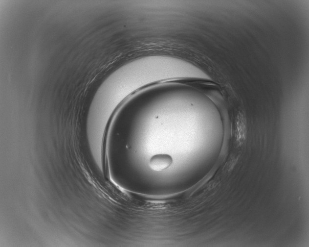 X0000086050456200703231311