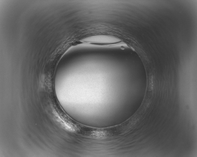 X0000086050457200703231311