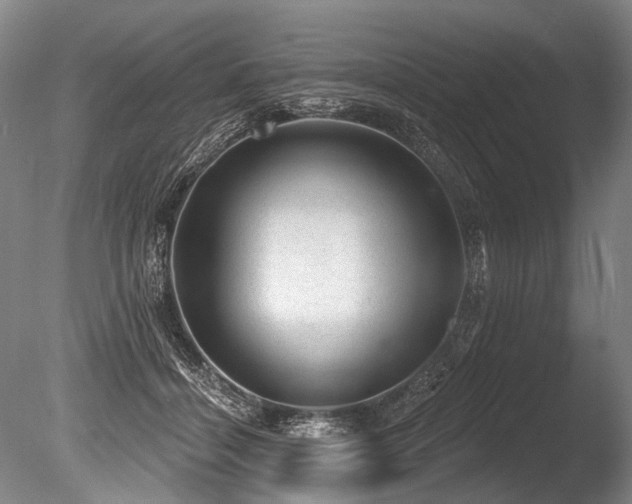 X0000086050460200703231311