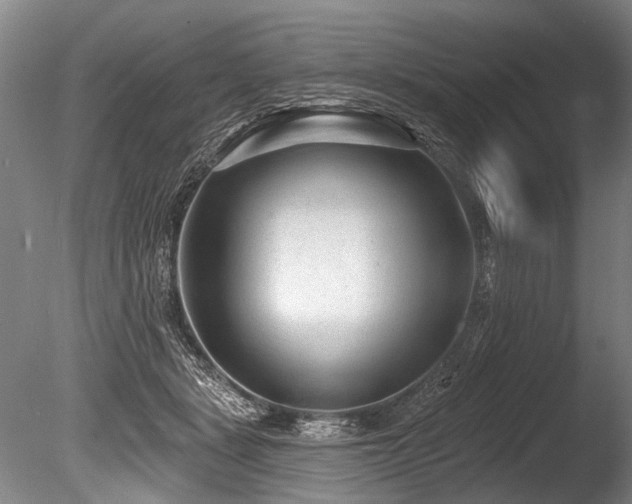 X0000086050461200703231311