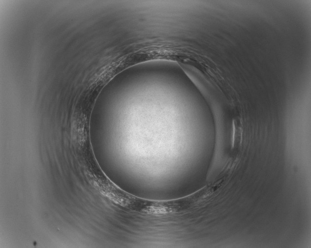 X0000086050464200703231312