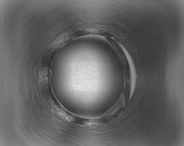 X0000086050466200703231312