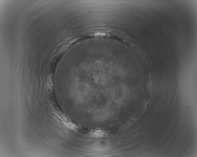 X0000086050467200703231312