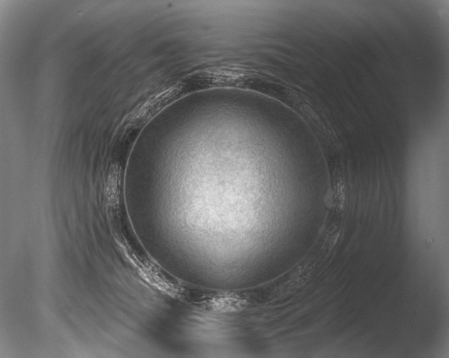 X0000086050468200703231312
