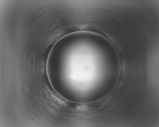 X0000086050470200703231312