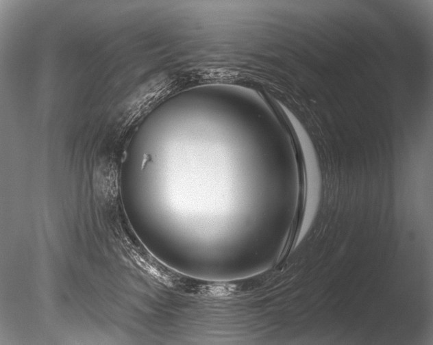 X0000086050474200703231312