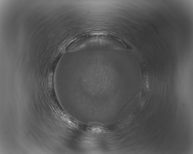 X0000086050475200703231312