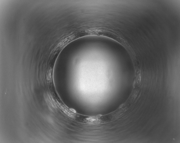 X0000086050477200703231312