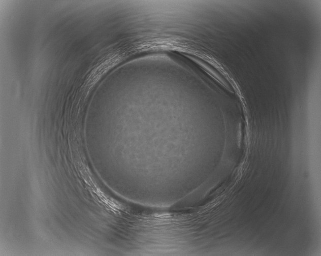 X0000086050481200703231311
