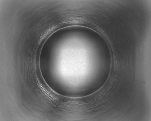 X0000086050482200703231311