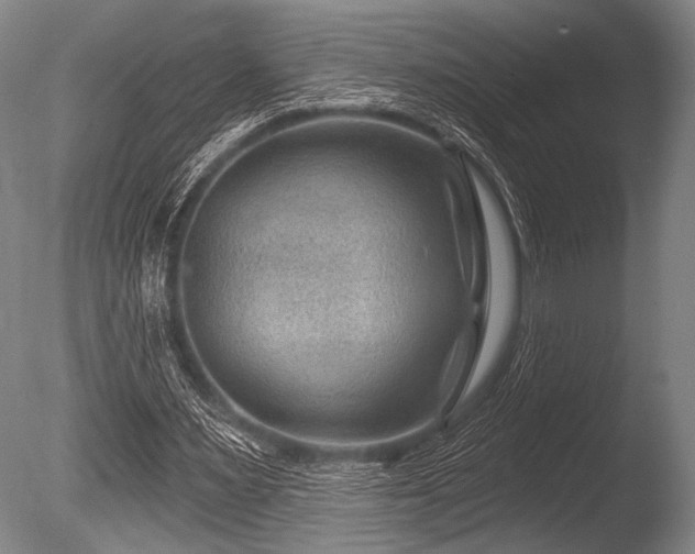 X0000086050483200703231311