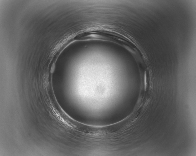 X0000086050485200703231311