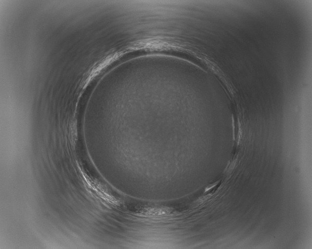 X0000086050488200703231311