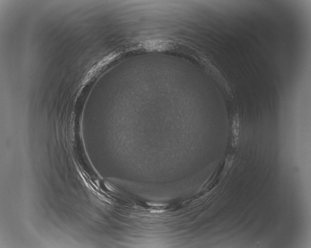 X0000086050492200703231311
