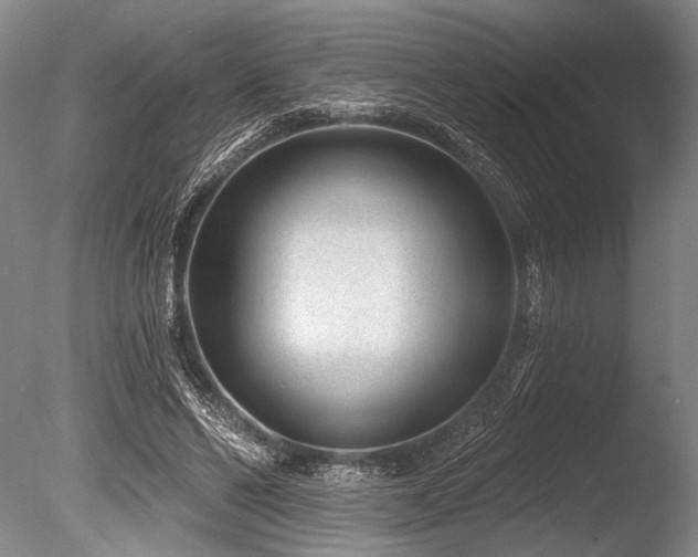 X0000086050494200703231311