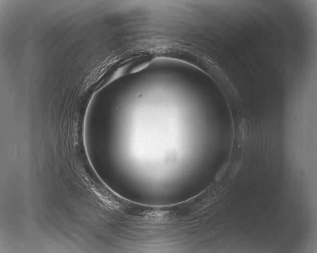 X0000086050497200703231311