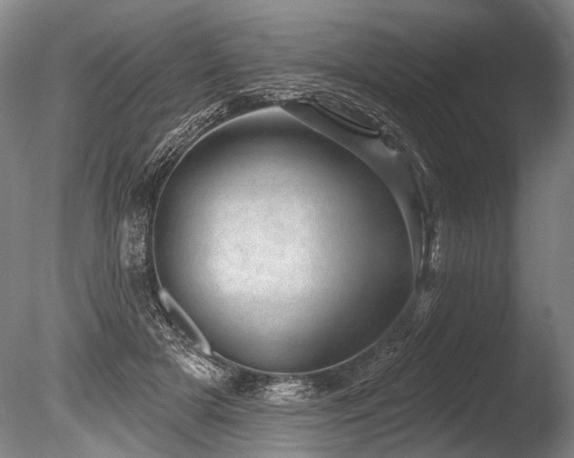 X0000086050505200703231311