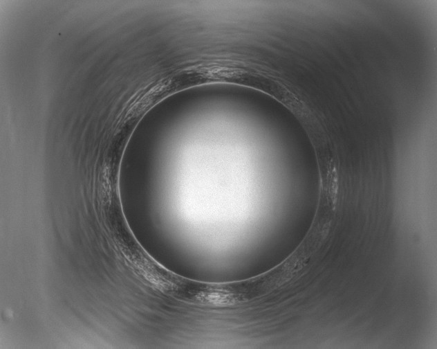 X0000086050506200703231311