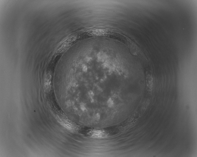 X0000086050507200703231311