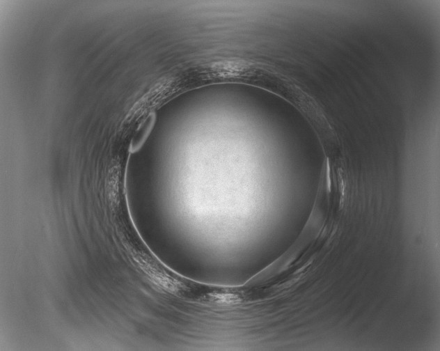 X0000086050509200703231310
