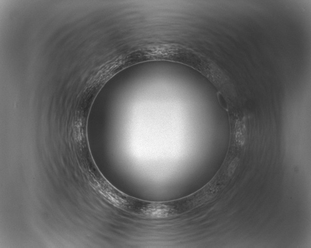 X0000086050514200703231310