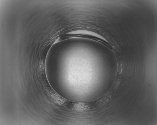 X0000086050521200703231310