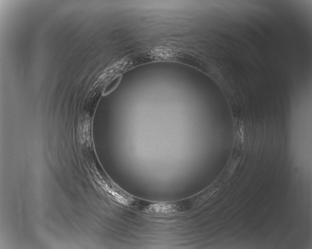 X0000086050526200703231310