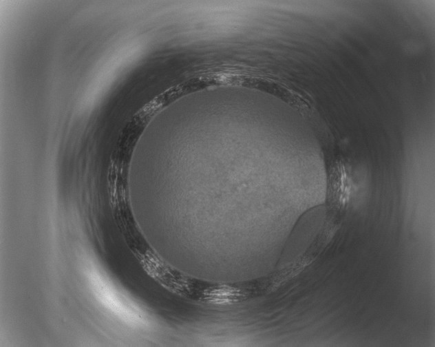 X0000086050527200703231310