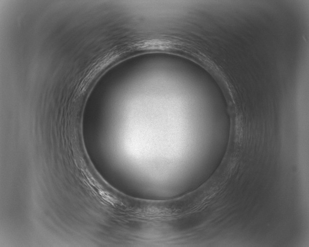 X0000086050529200703231309